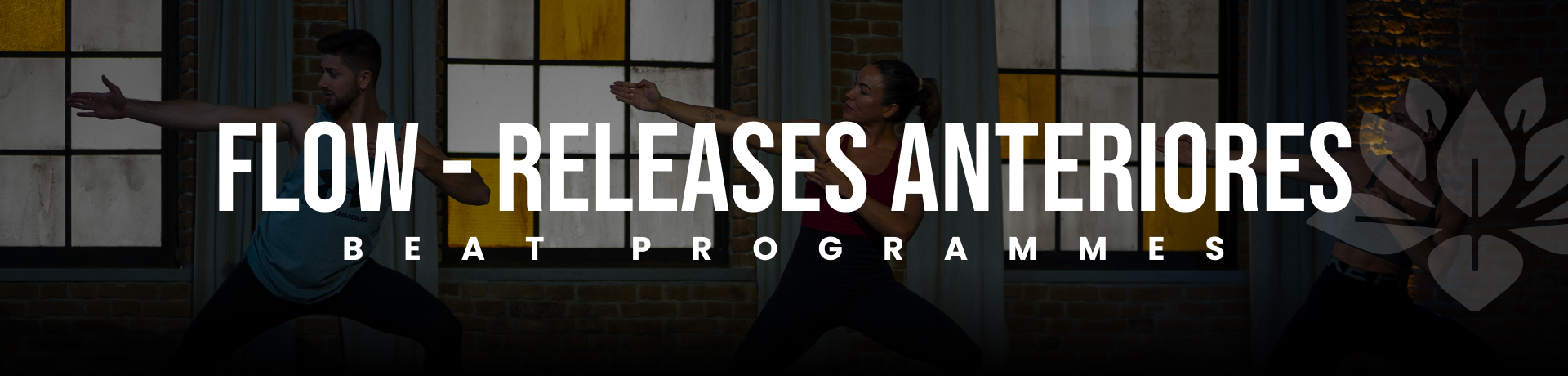 Course Image 2.2 Flow Releases Anteriores - Fundació Torremirona Esport i Salut 