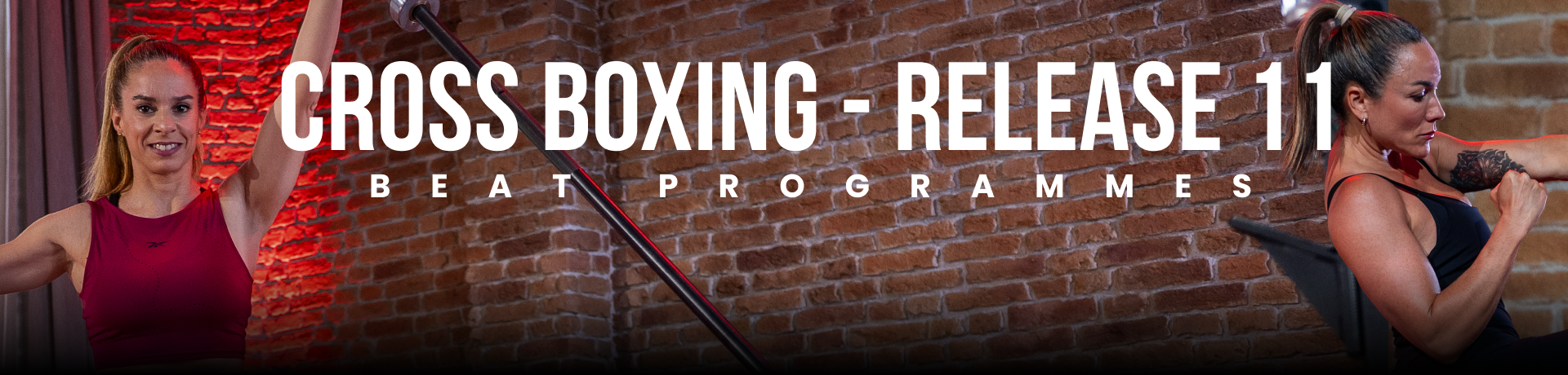 Course Image 5.1 Cross Boxing Release 11 - DEMOSTRACION