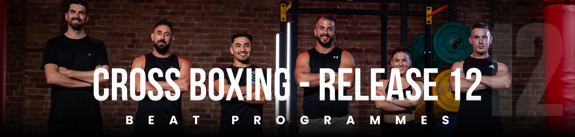 Course Image 5.1 Cross Boxing Release 12 - CEM CAN FELIPA