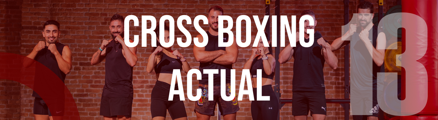 Course Image 5.1 Cross Boxing Release 13 - CEM CAN FELIPA