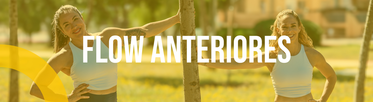 Course Image 02.2 Flow Releases Anteriores - SYNERGYM